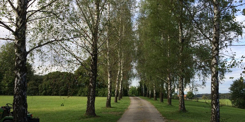 Freistehendes Landhaus mit Pool & Whirlpool