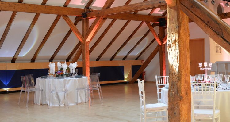 Hofgut m. Saal, Kapelle, verwunschenem Garten - Großer Saal