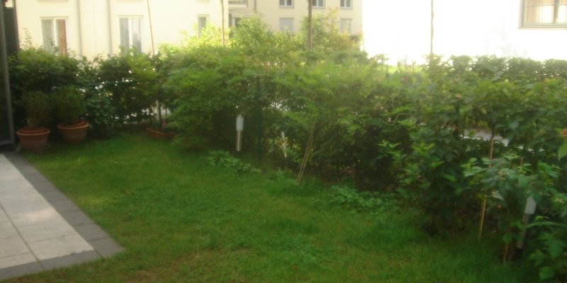 Architektengartenwohnung am Engl. Garten - garten