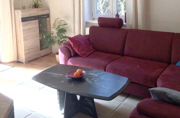 Can-do 50s house style mix old / modern