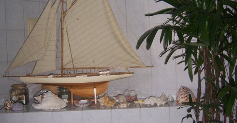 Semi-detached house with southern flair