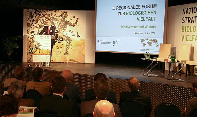 O Abdullah Theater & foyer