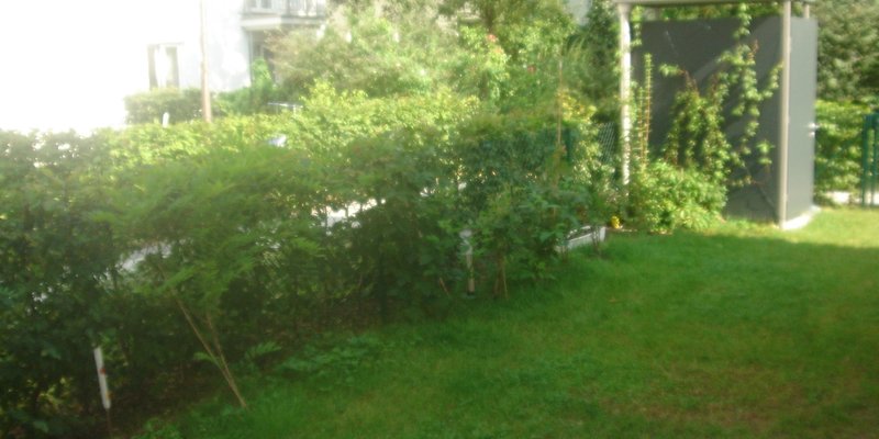 Architektengartenwohnung am Engl. Garten - garten