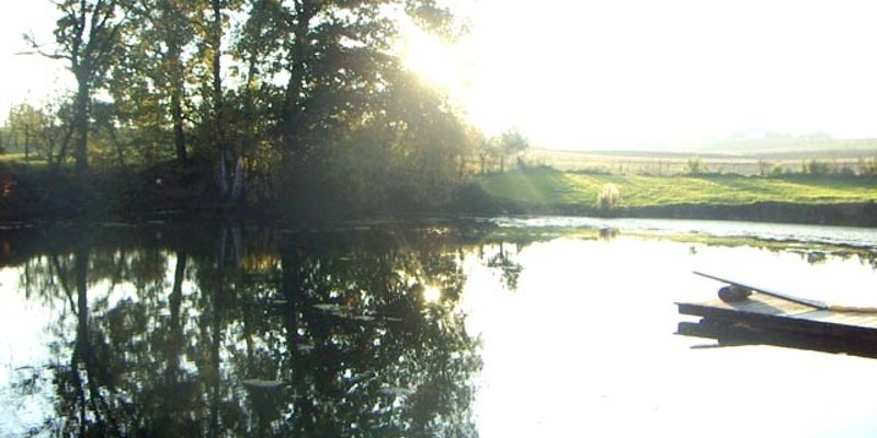 Pond site with log cabin