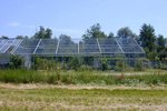 Glashaus / Gewächshaus mit Zelt