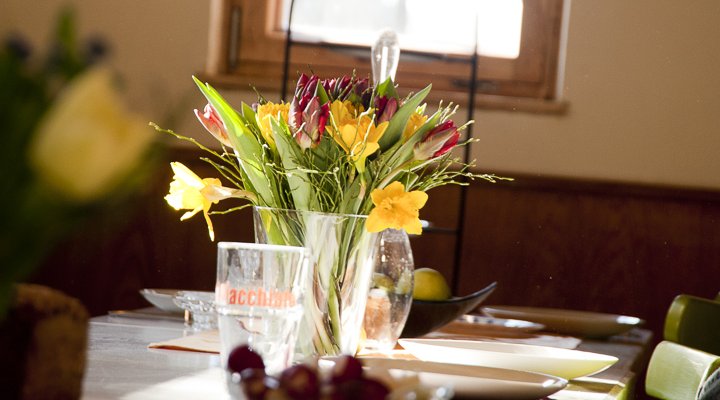 Seminar room in the middle of the forest