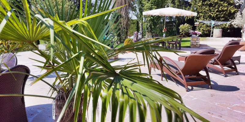 Idyllic country estate with a 20,000 m² Park