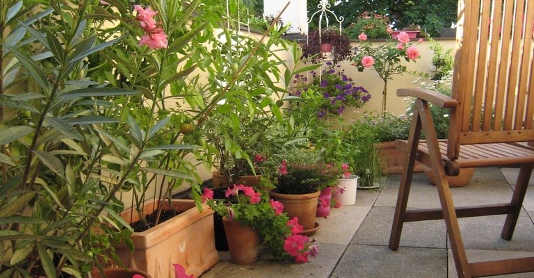 Kreuz-Gewölbe Traumwohnung - Terrasse