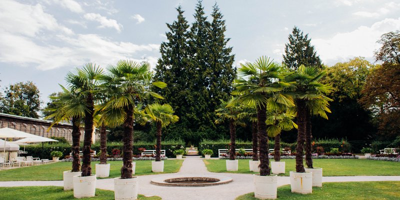 Schlosscafé im Palmenhaus  Schlosscafé im Palmenhaus