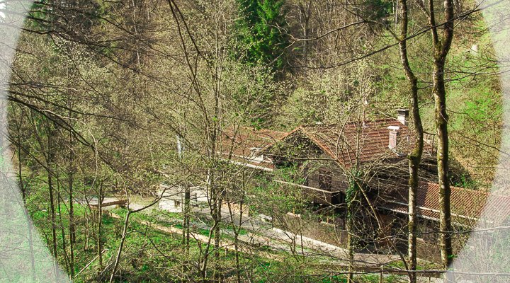 Seminar room in the middle of the forest