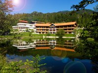 Berghotel mit urigen Stadeln, Stuben, Hütten