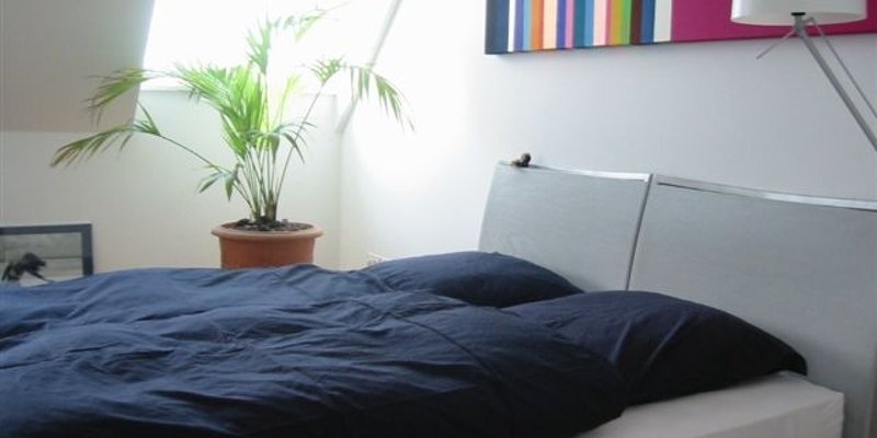 Stylishe Dachgeschosswohnung