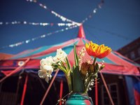 Sommer OpenAir-Location mit Zirkuscharakter