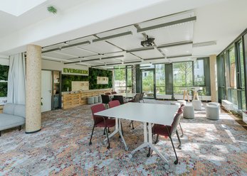 Workshop and Office Playground