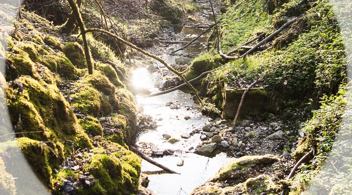 Seminar room in the middle of the forest