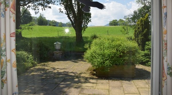 Holistic Hotel & seminar Centre