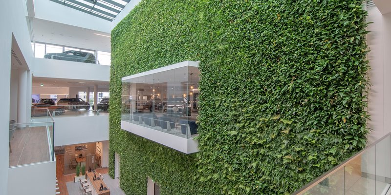 Rooftop with panoramic views and car scenery