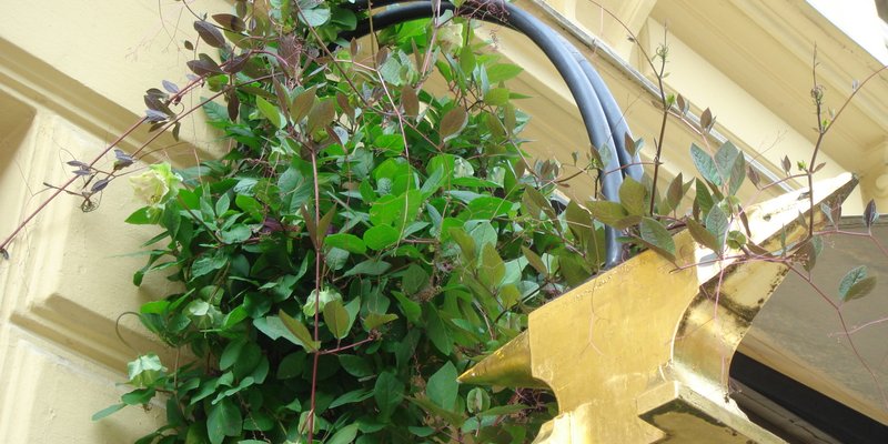 Gallery and goldsmiths