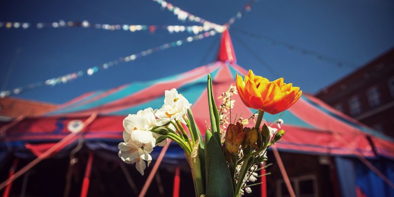 Summer open air location with circus character