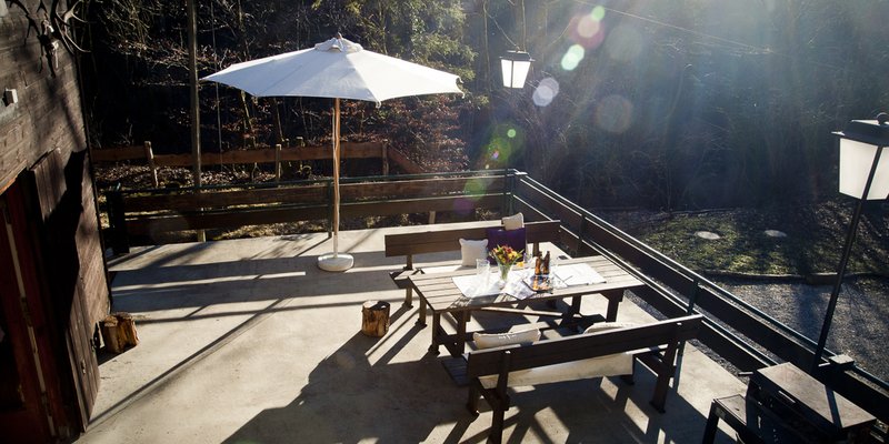 Seminar room in the middle of the forest