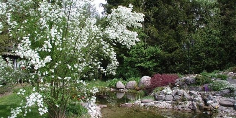 Einfam.-House with garden & pond