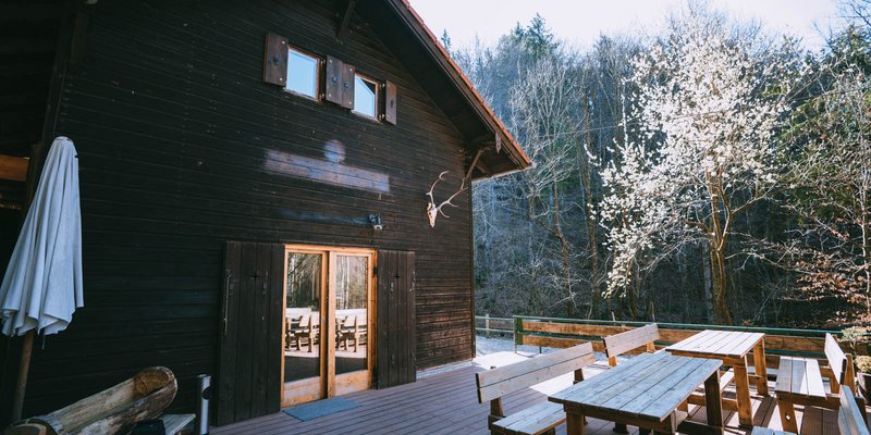 Seminar room in the middle of the forest